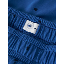 NAME IT Shorts Jaxon Nautical Blue